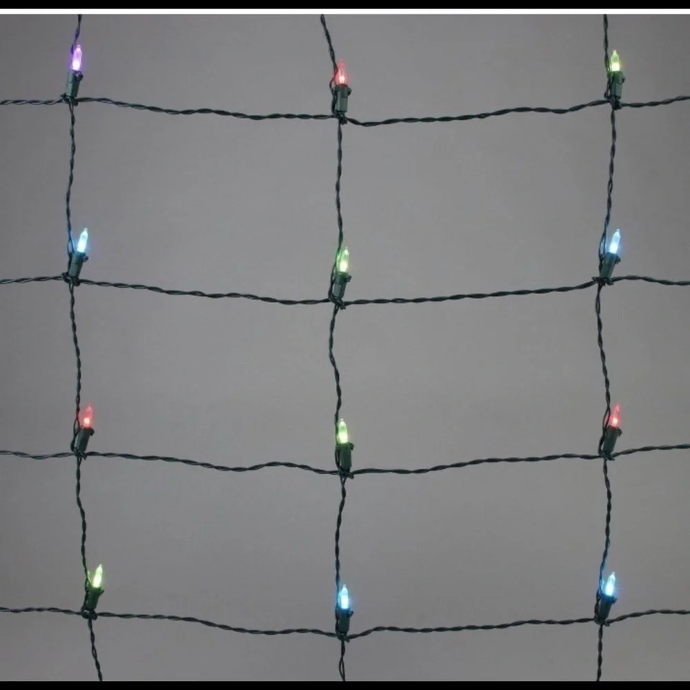 NWT Philips 100ct 4' x 6' LED App-Controlled multiColor Changing Mini Net